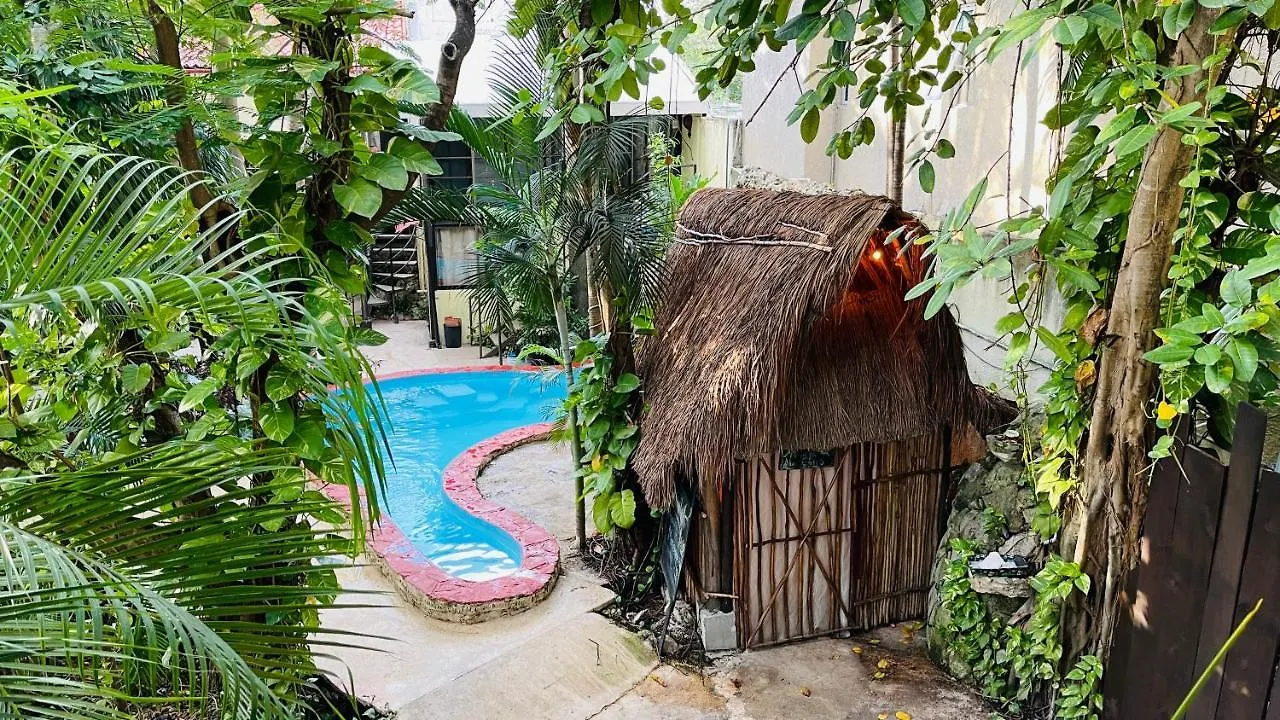 Hotel B&B - 5Th Avenue Playa del Carmen 5*,