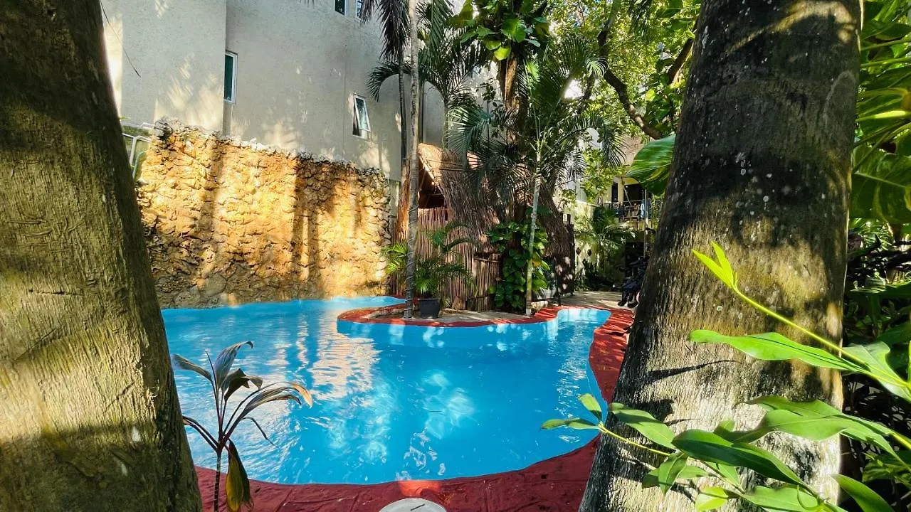 Hotel B&B - 5Th Avenue Playa del Carmen